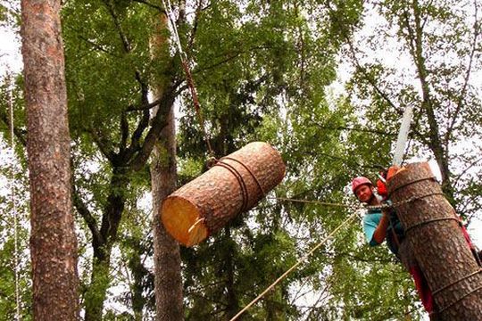 Удаление дерева с завешивание частей