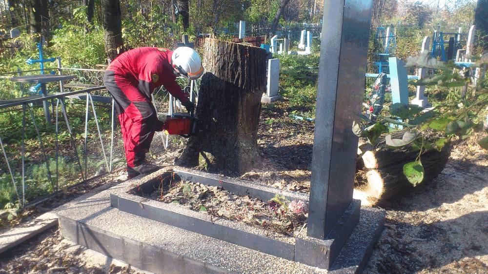 Удаление деревьев на погосте
