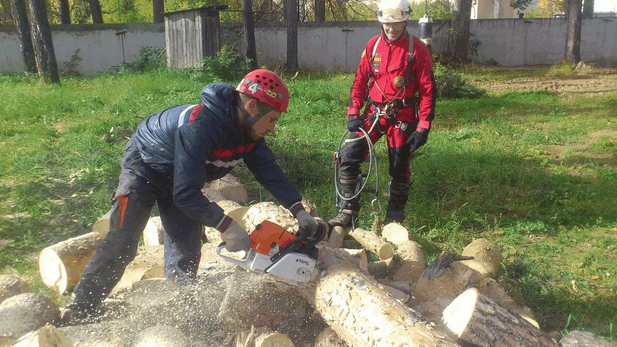 Валка деревьев в Закамске