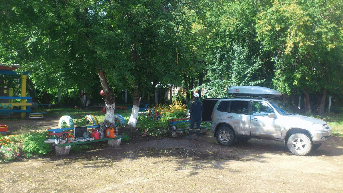 Кронирование деревьев в детском саду