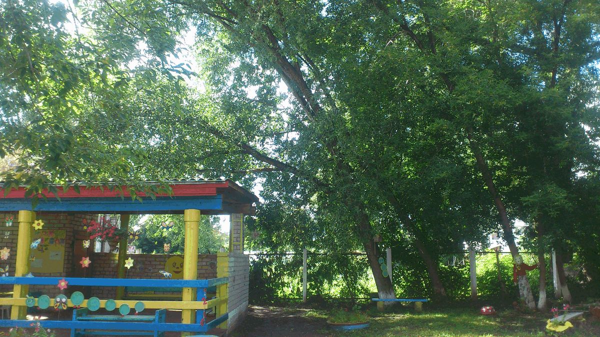Кронирование деревьев в детском саду