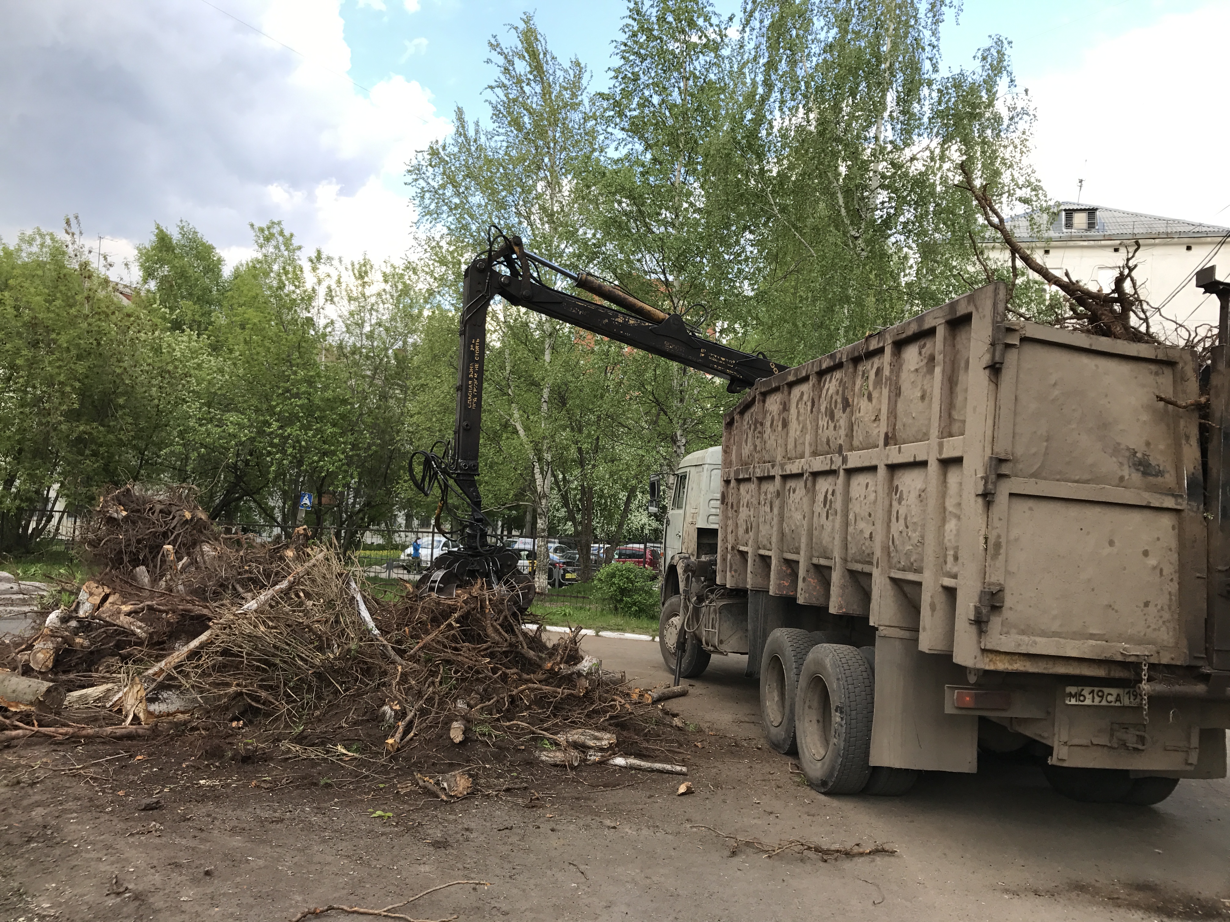Первые дни лета